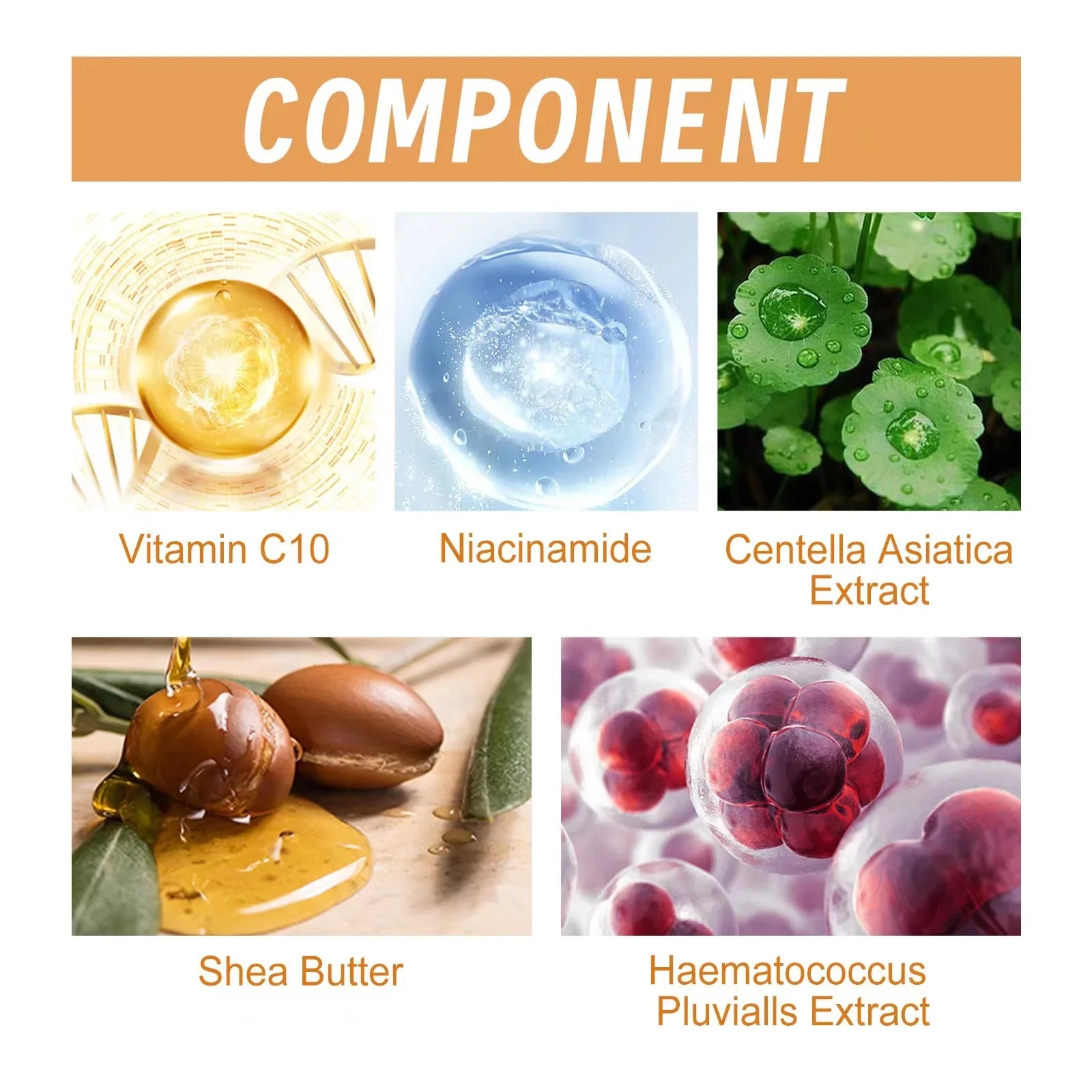 Vitamin C Face Serum – Anti-Wrinkle, Brightening & Firming Essence